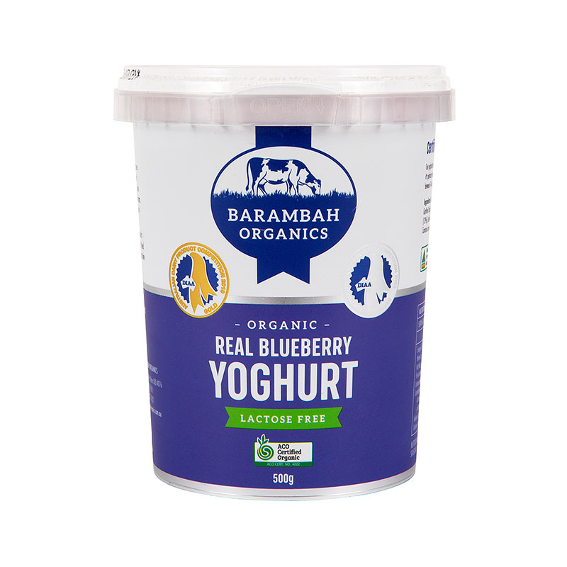 bo yoghurt blueberry 500g (6) [U]