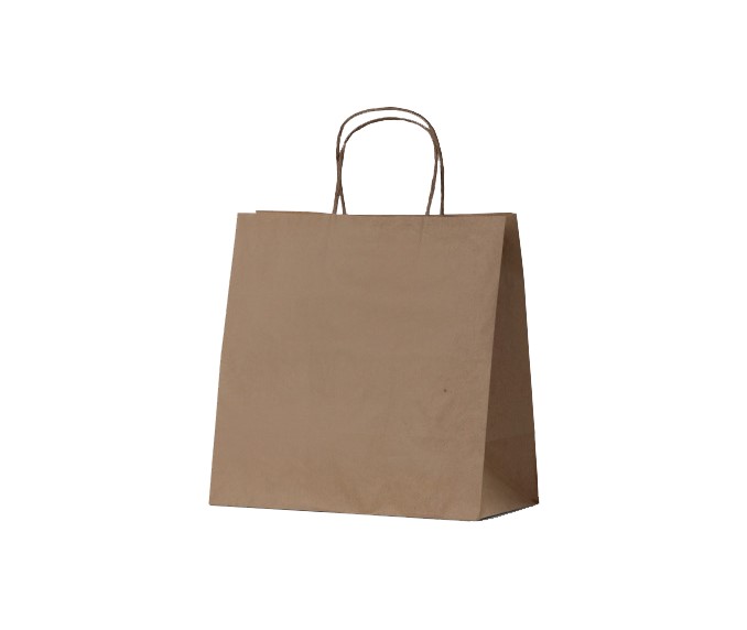 BROWN PAPER CARRY BAGS 300x175x305 (250)