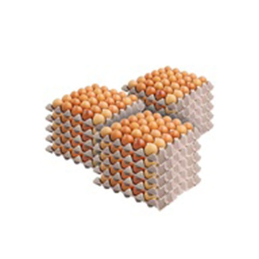 [EGGJUM] eggpro eggs jumbo (10 dozen) [B]