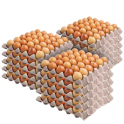 [EGGS10DOZL] Barn Laid Eggs Large 600g -10 Dozen