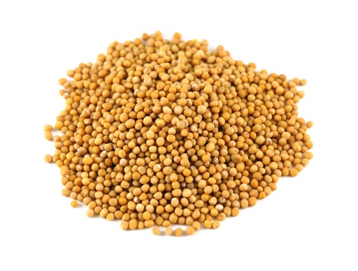 [MUSTARD/SEEDS] YELLOW MUSTARD SEEDS 500GM